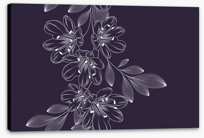 Lily flower flourish