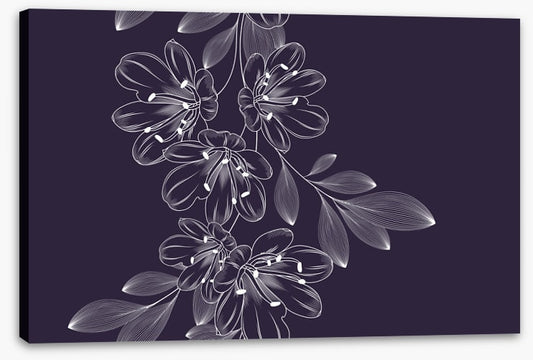 Lily flower flourish