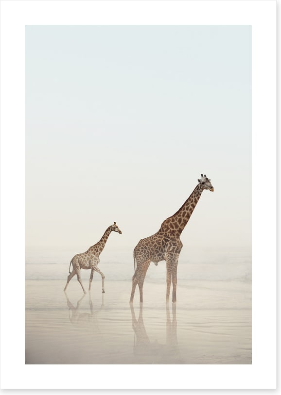 Beach safari