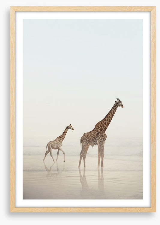 Beach safari