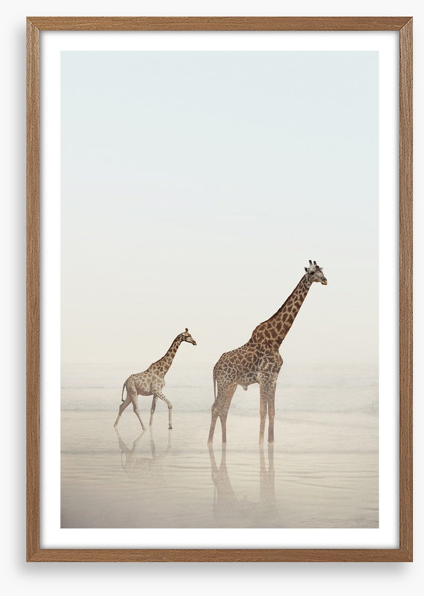 Beach safari