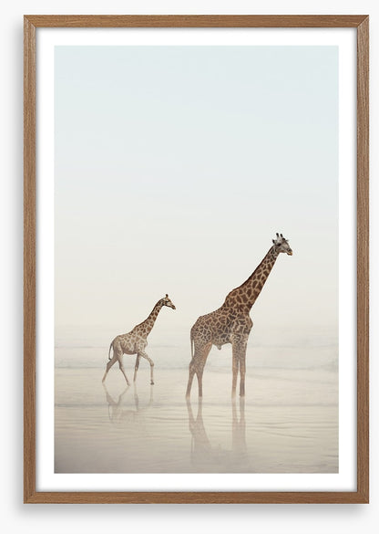 Beach safari