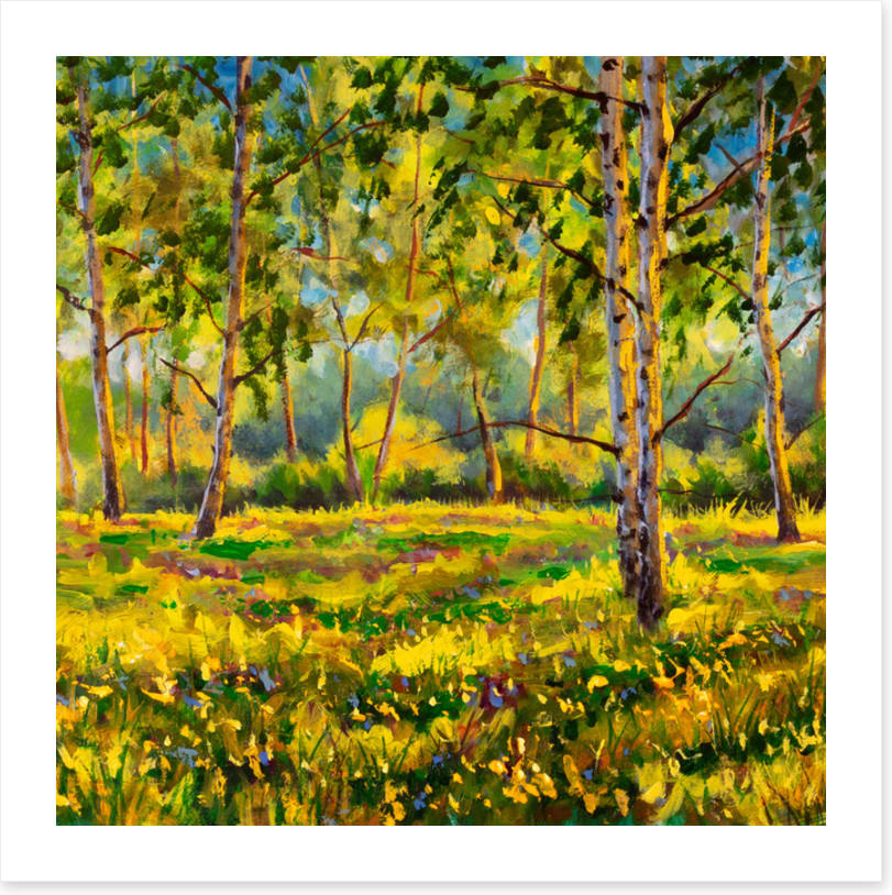 Among the gum trees