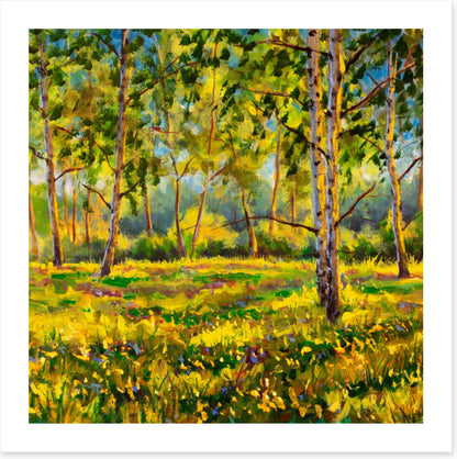 Among the gum trees
