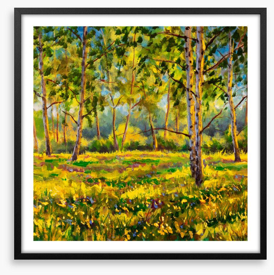 Among the gum trees