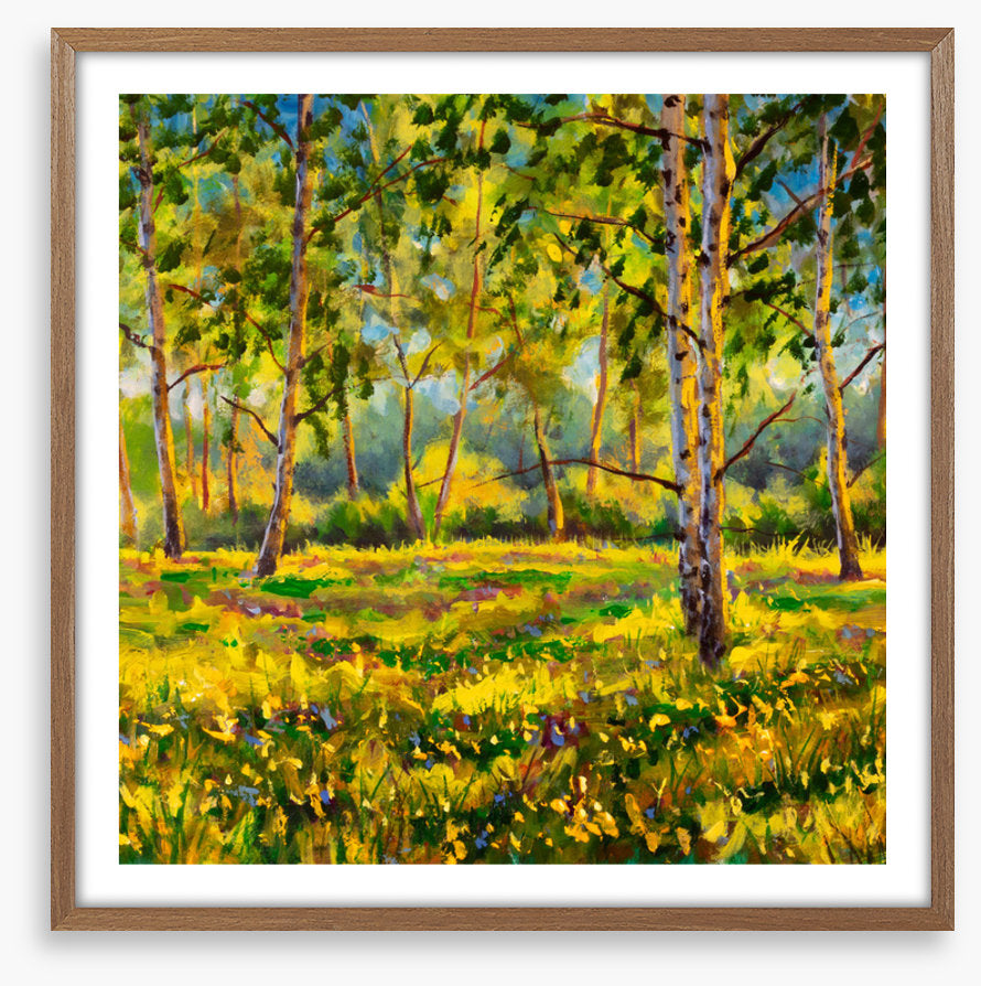 Among the gum trees
