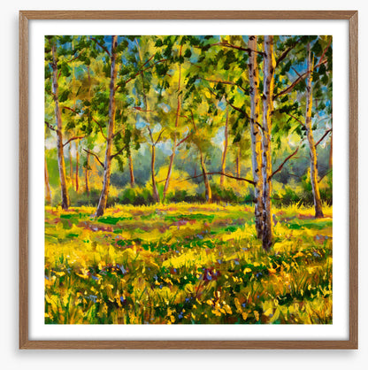Among the gum trees
