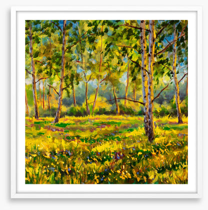 Among the gum trees