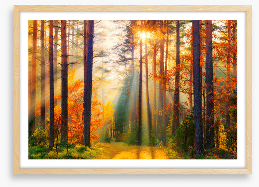 Golden shadows