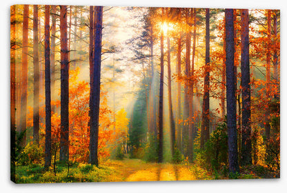 Golden shadows