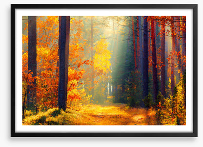 Autumn illuminated