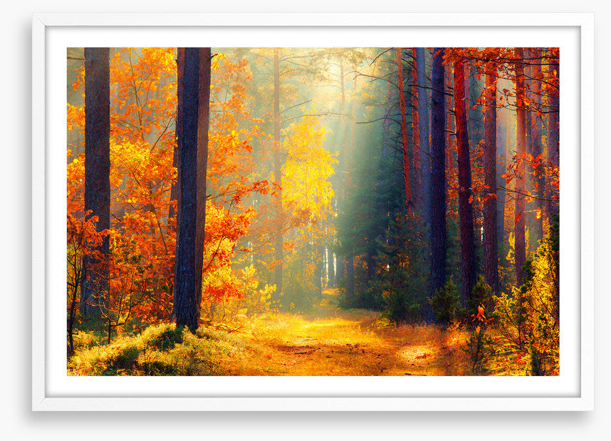 Autumn illuminated