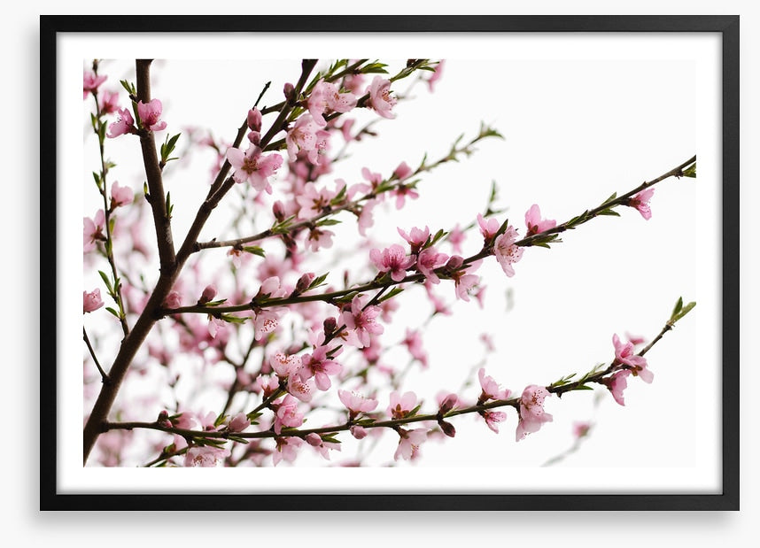 Spring at last