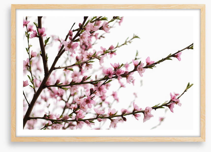 Spring at last