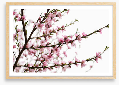Spring at last
