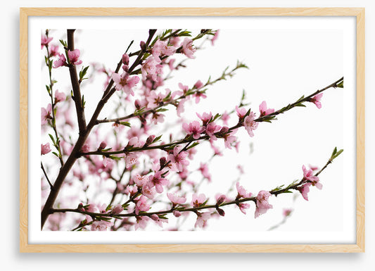 Spring at last
