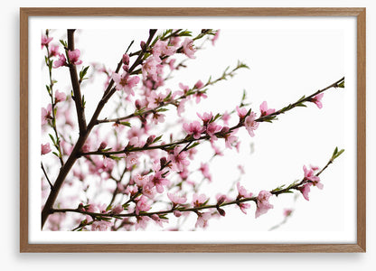 Spring at last
