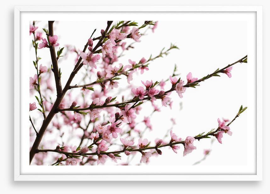 Spring at last