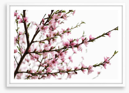 Spring at last