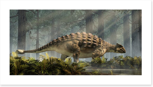 Ankylosaurus amble