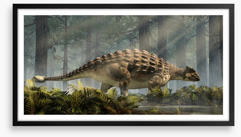 Ankylosaurus amble