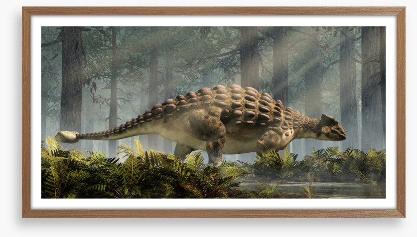 Ankylosaurus amble