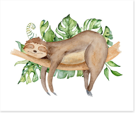 Sleeping sloth