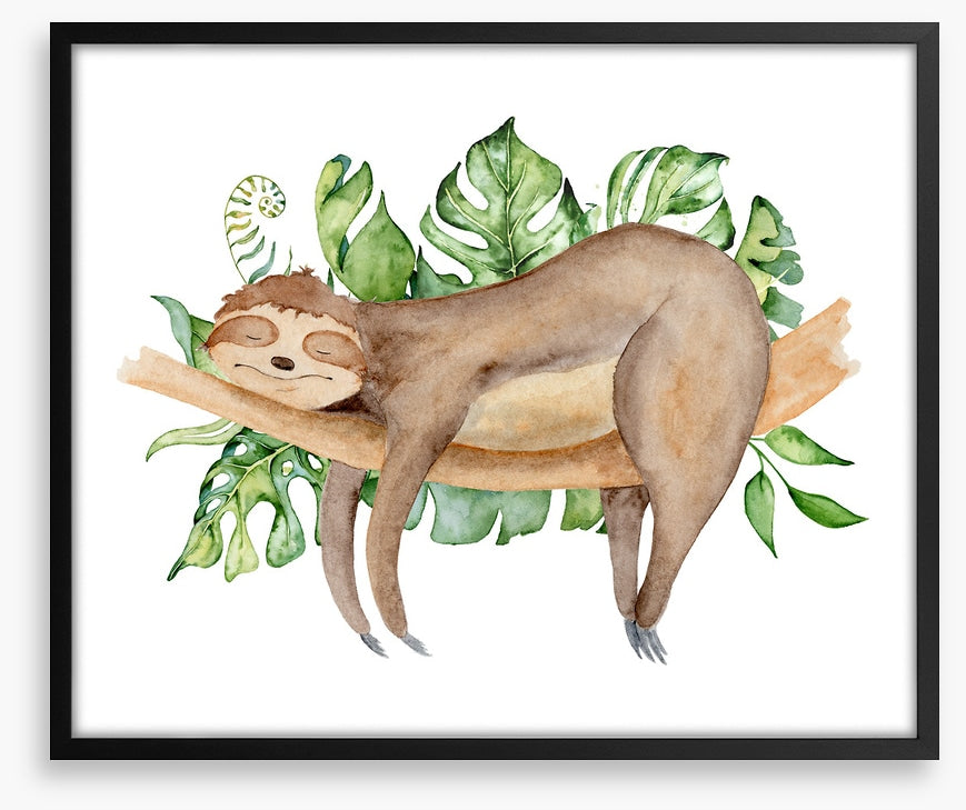 Sleeping sloth
