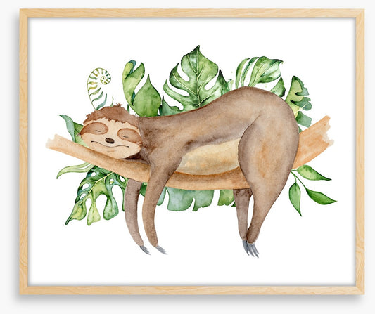Sleeping sloth