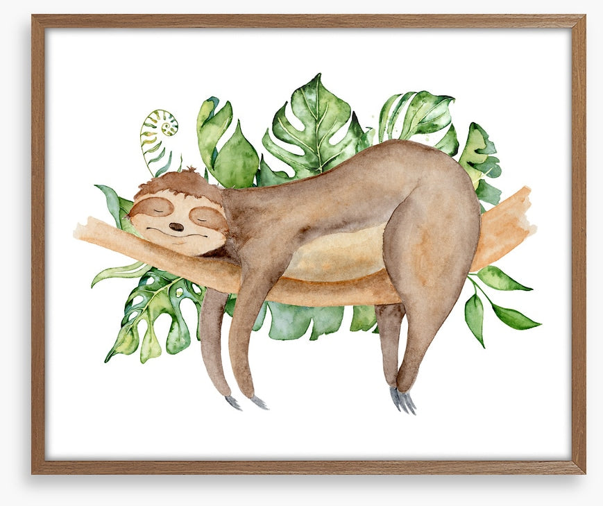 Sleeping sloth