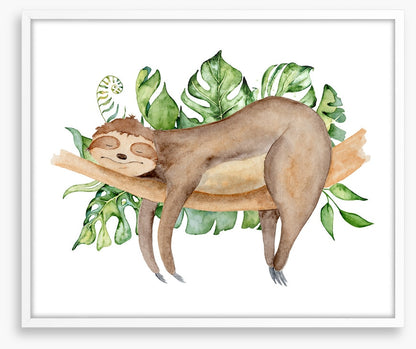 Sleeping sloth