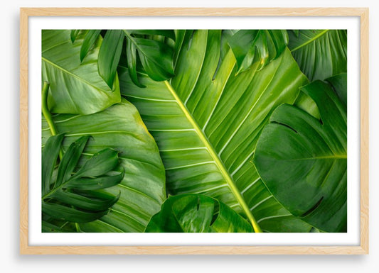 Feeling leafy