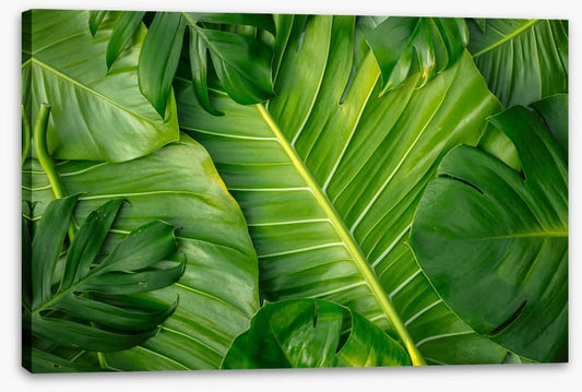 Feeling leafy