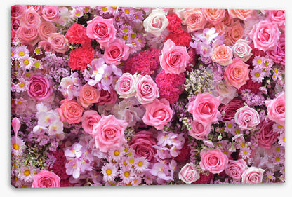 Party in pink