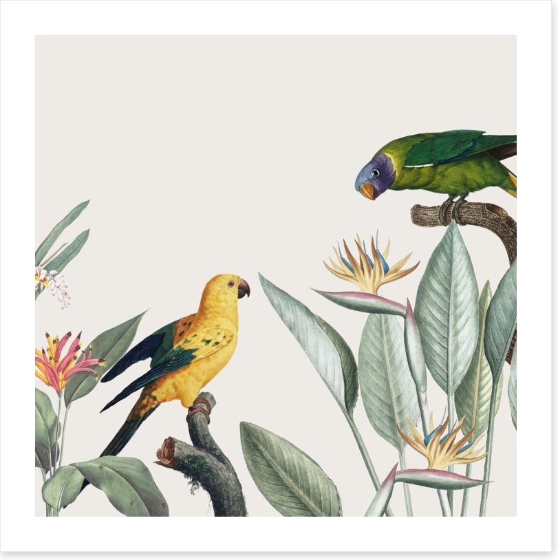Feathered friends II