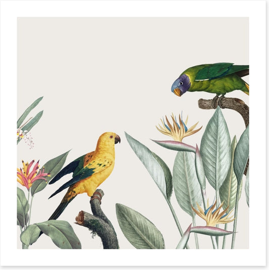 Feathered friends II