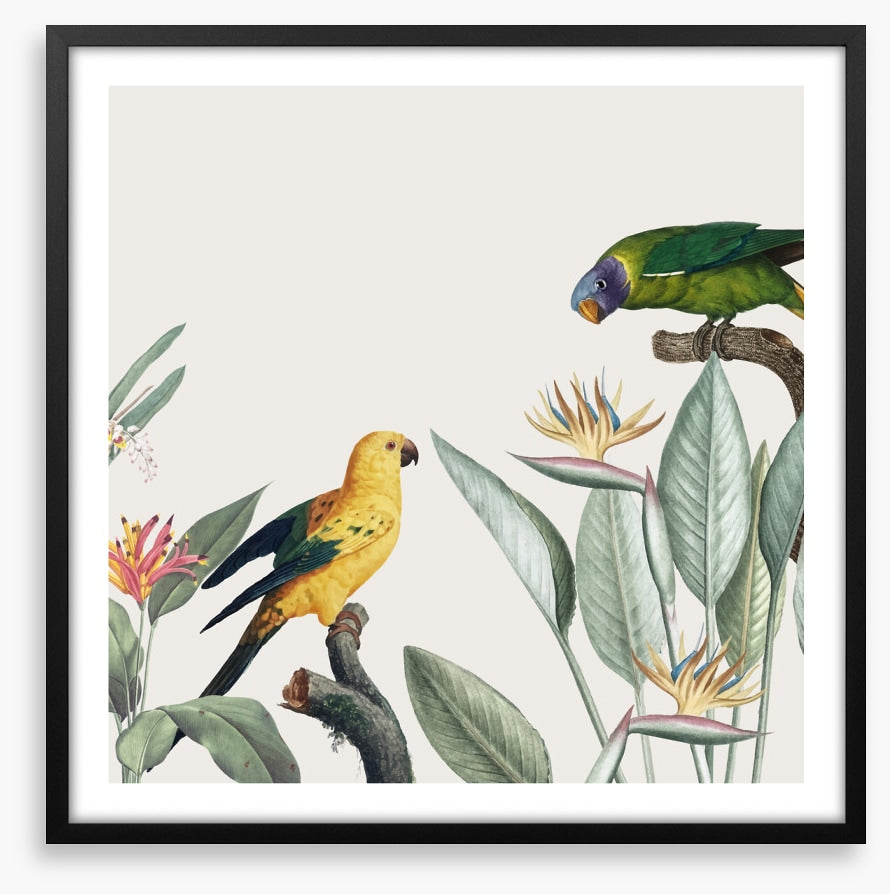 Feathered friends II