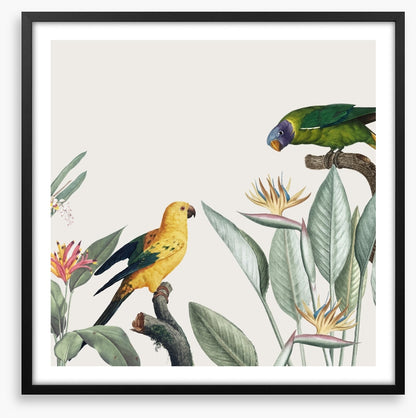 Feathered friends II