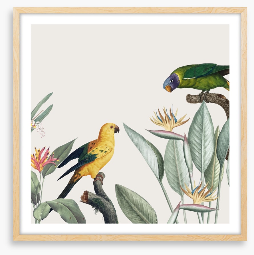 Feathered friends II