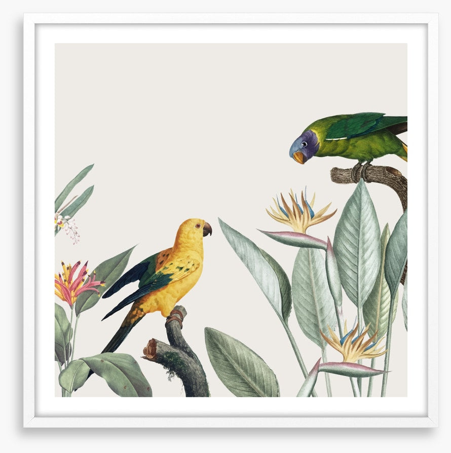 Feathered friends II