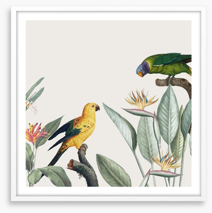 Feathered friends II