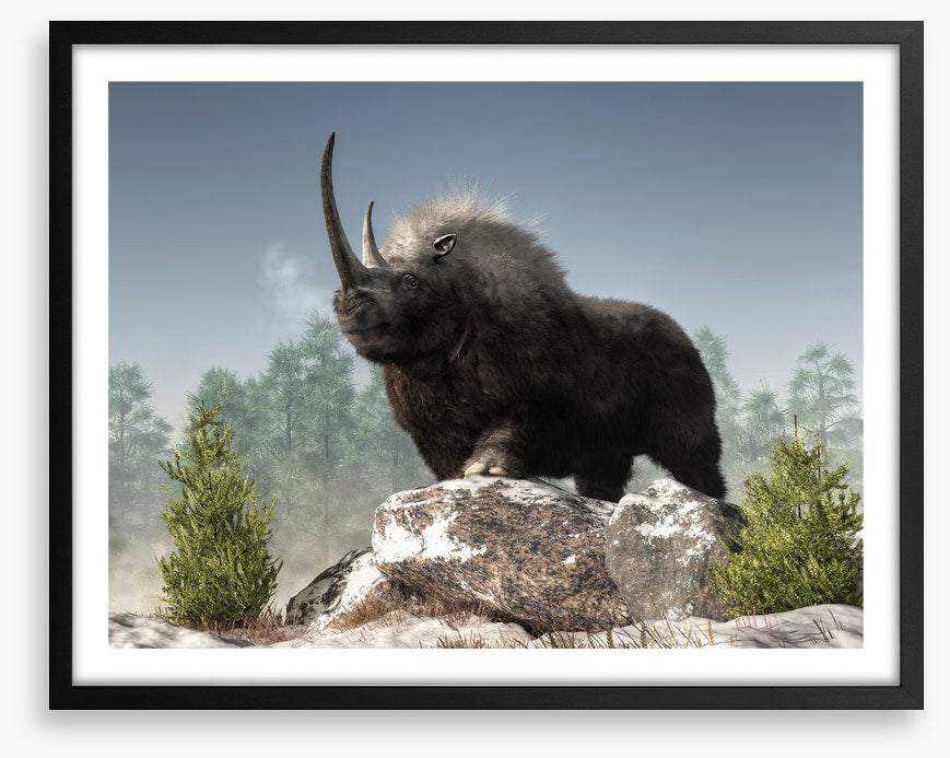Woolly rhino watch