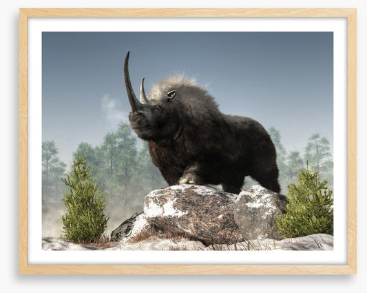Woolly rhino watch