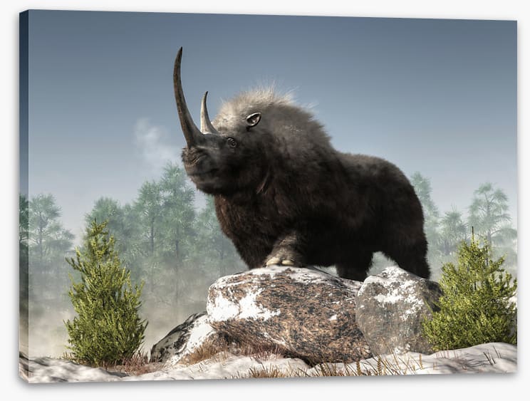 Woolly rhino watch