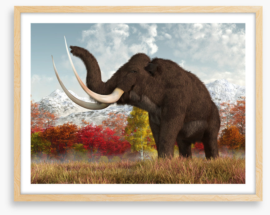 Happy woolly mammoth