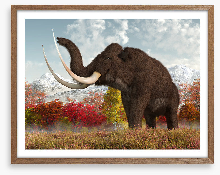 Happy woolly mammoth