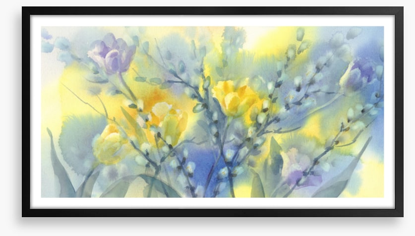 Pussy willow splash