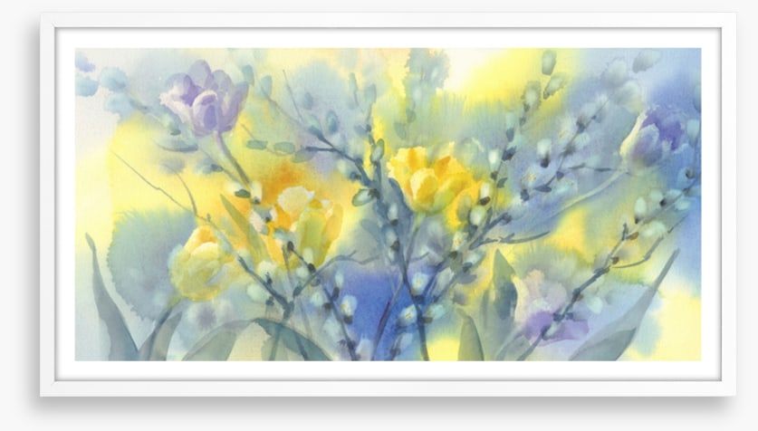 Pussy willow splash