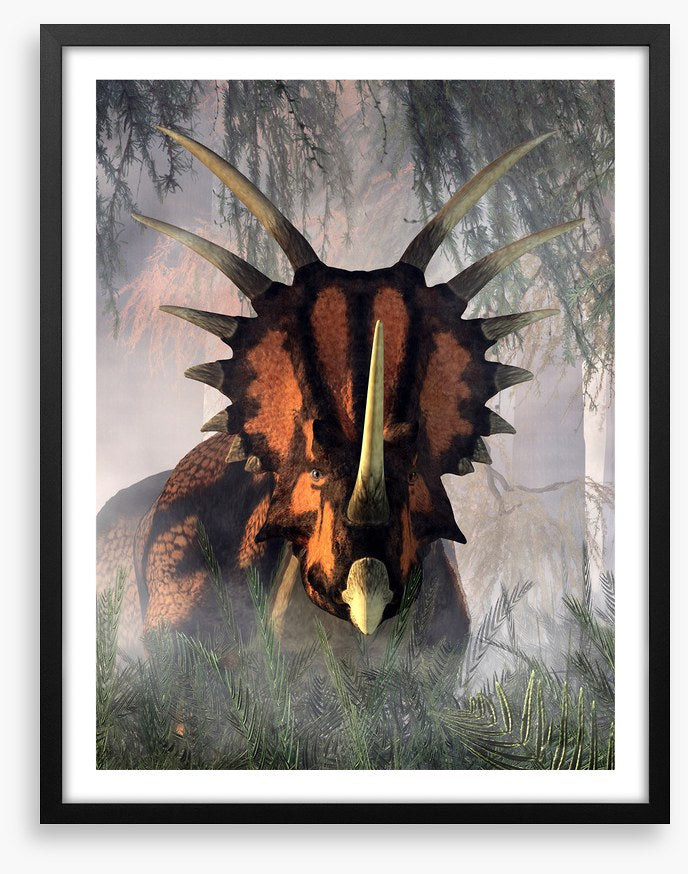Styracosaurus surprise