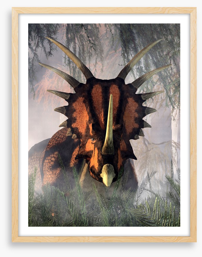 Styracosaurus surprise